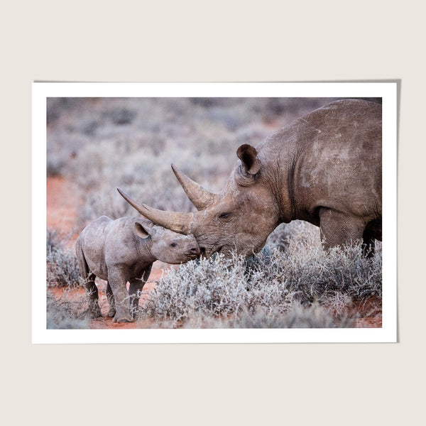 Rhino mother & child